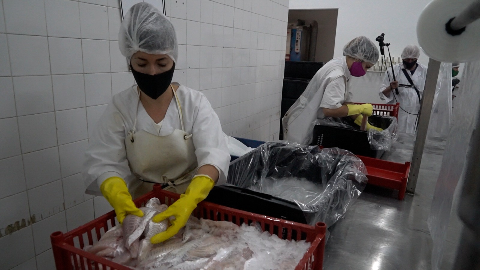 Pesca y Acuicultura.