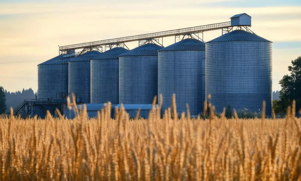 La cadena agropecuaria exportó 10,5 millones de toneladas en julio y la actividad creció 12%