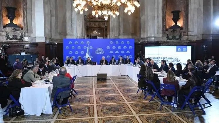 El Senado continuó el debate del Súper RIGI con foco en minería, industria y energía