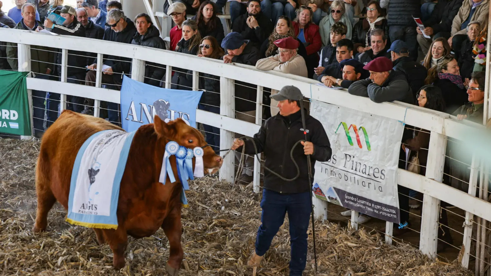 Río Colorado cerró su Rural con más de $1000 millones en ventas
