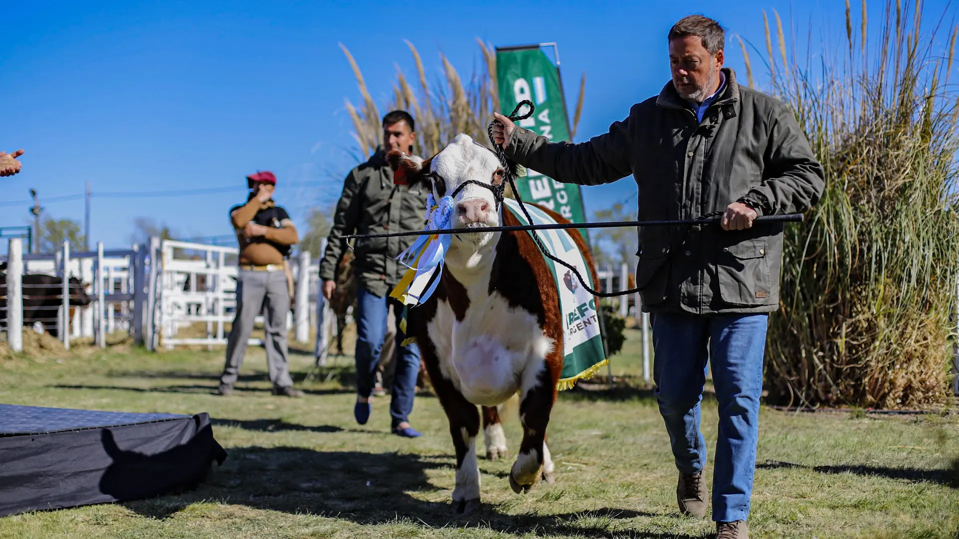 Viedma superó los $1.200 millones en ventas en la Rural