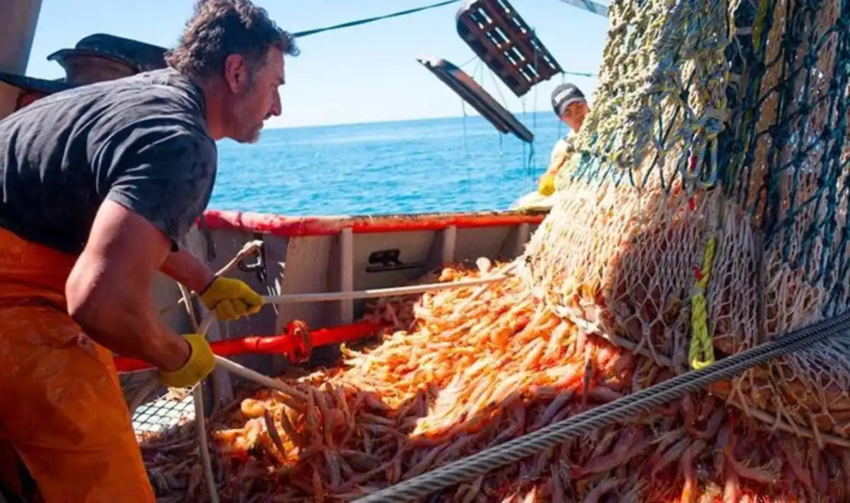 Buscan crear un consorcio mixto pesquero en Río Negro